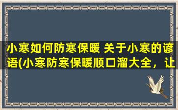 小寒如何防寒保暖 关于小寒的谚语(小寒防寒保暖顺口溜大全，让你轻松过冬！)